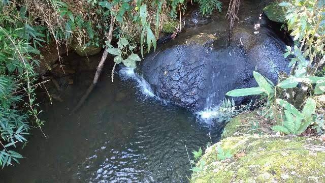 Terreno, 2 m² - Foto 1