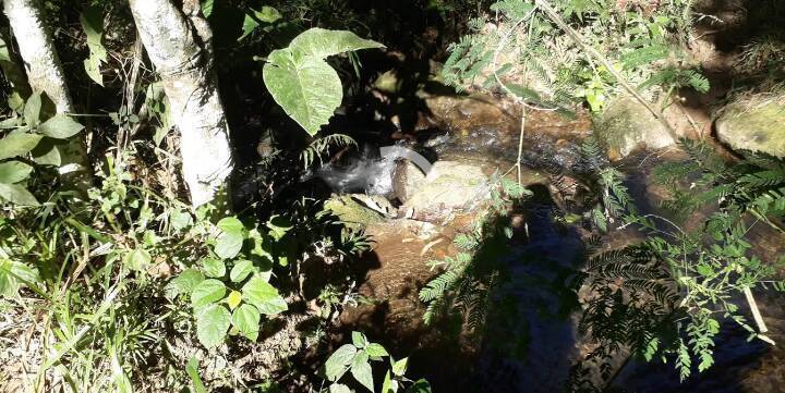 Terreno, 2 m² - Foto 2