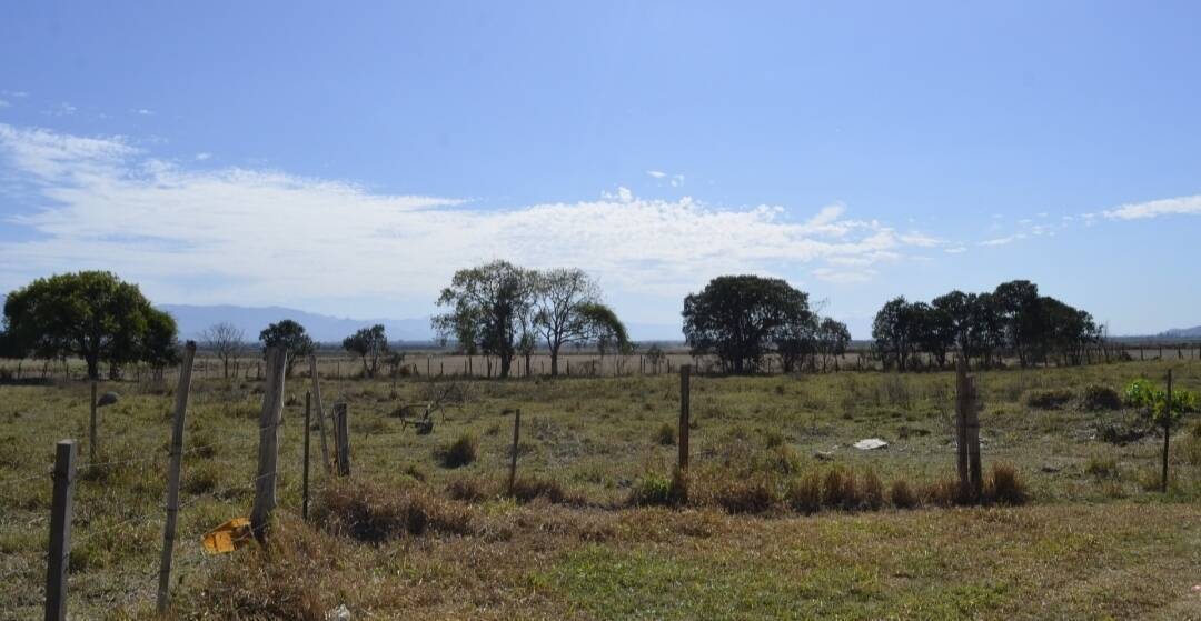 Terreno, 4000 m² - Foto 6