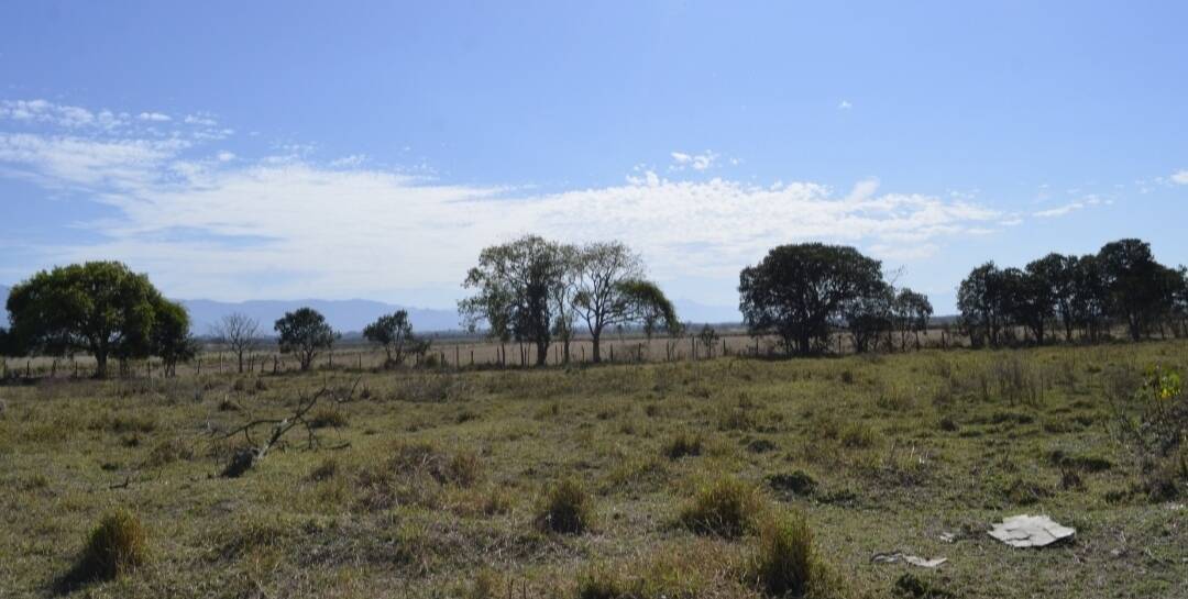 Terreno, 4000 m² - Foto 7