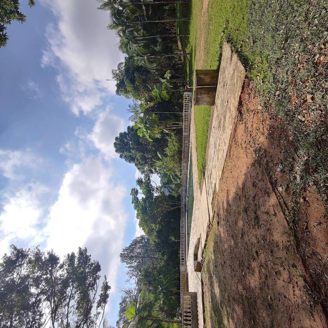 Sítio, 2 quartos, 16 m² - Foto 3