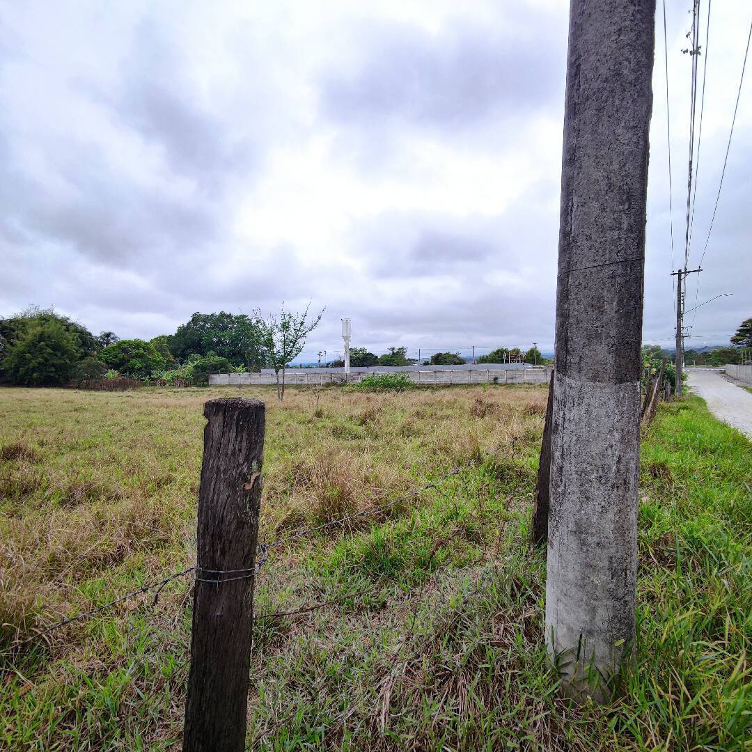 Prédio Inteiro - Foto 3