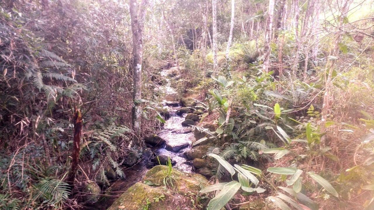 Terreno, 2 m² - Foto 6