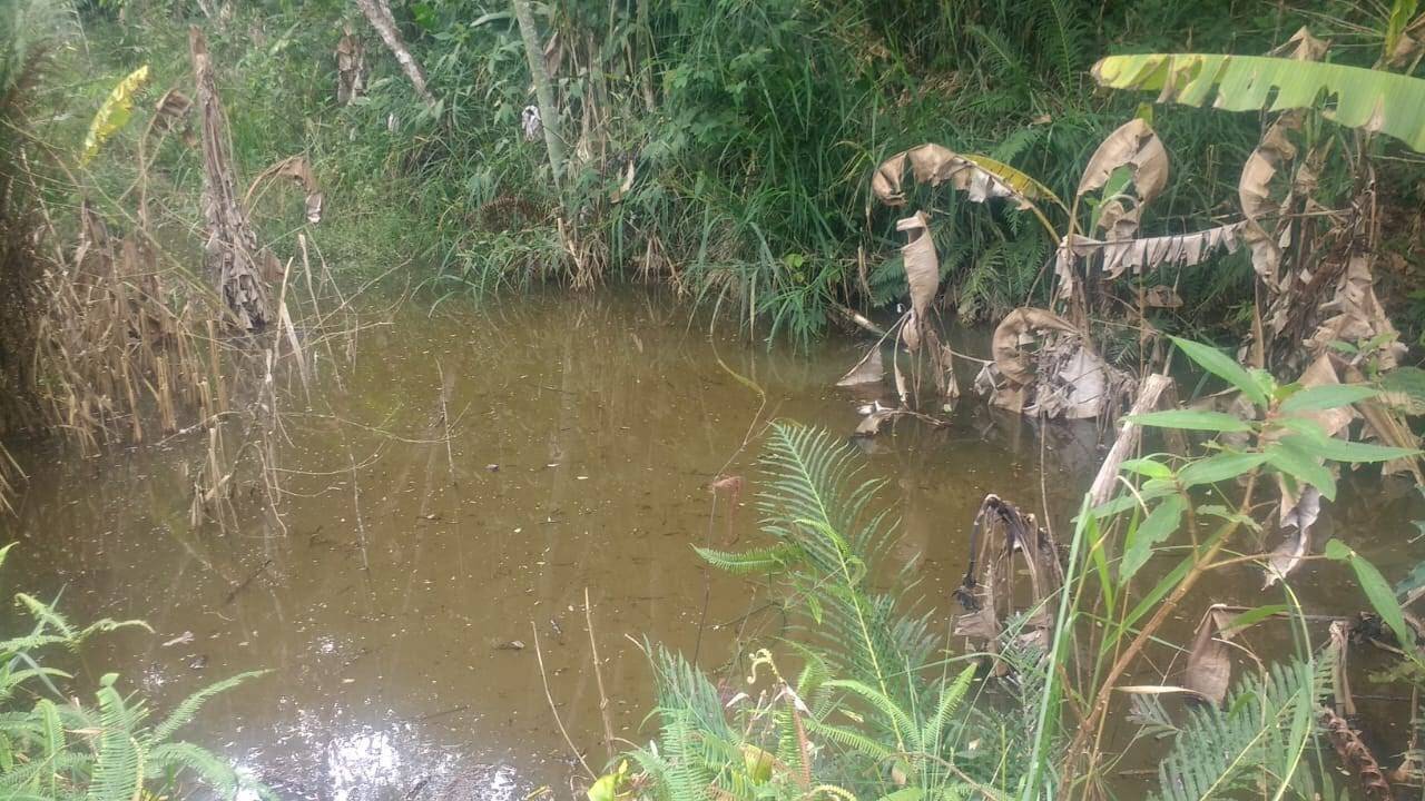 Terreno, 2 m² - Foto 5