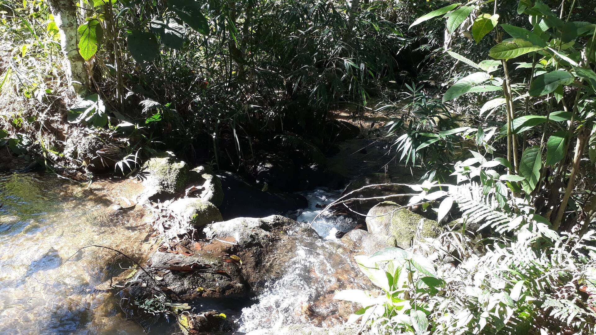 Terreno, 2 m² - Foto 7