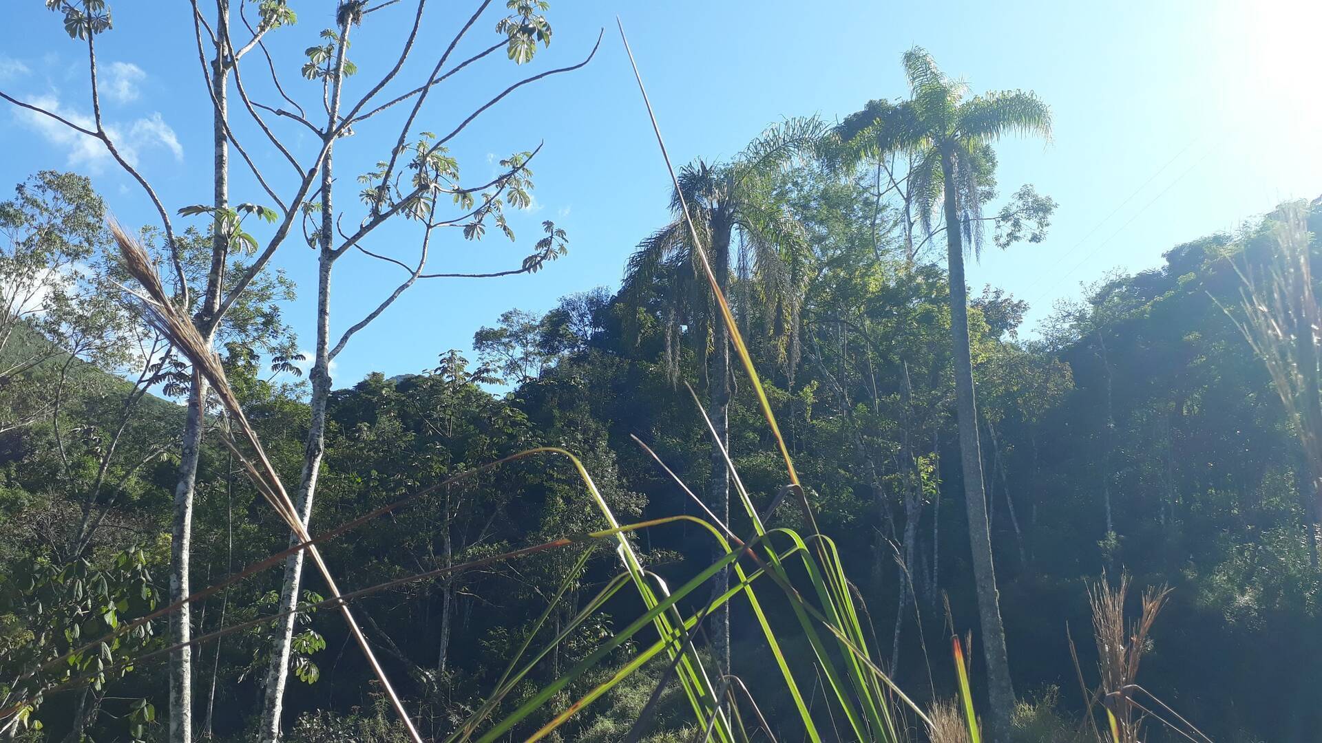 Terreno, 2 m² - Foto 11