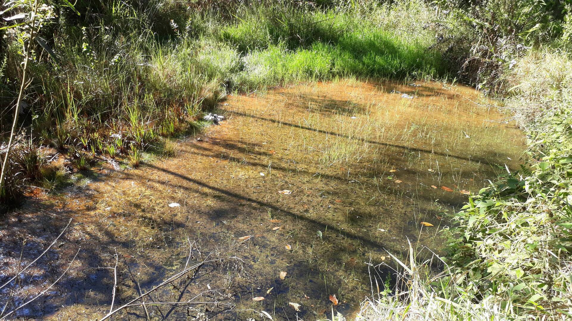 Terreno, 2 m² - Foto 12