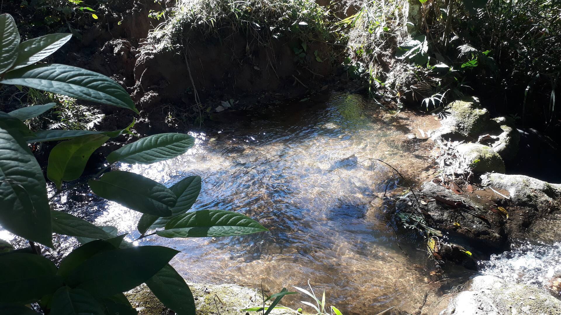 Terreno, 2 m² - Foto 16