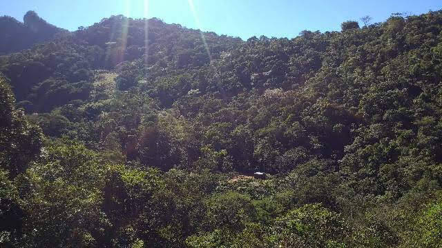 Terreno, 2 m² - Foto 15