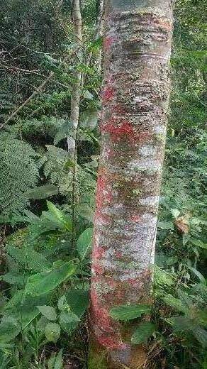 Terreno, 2 m² - Foto 19