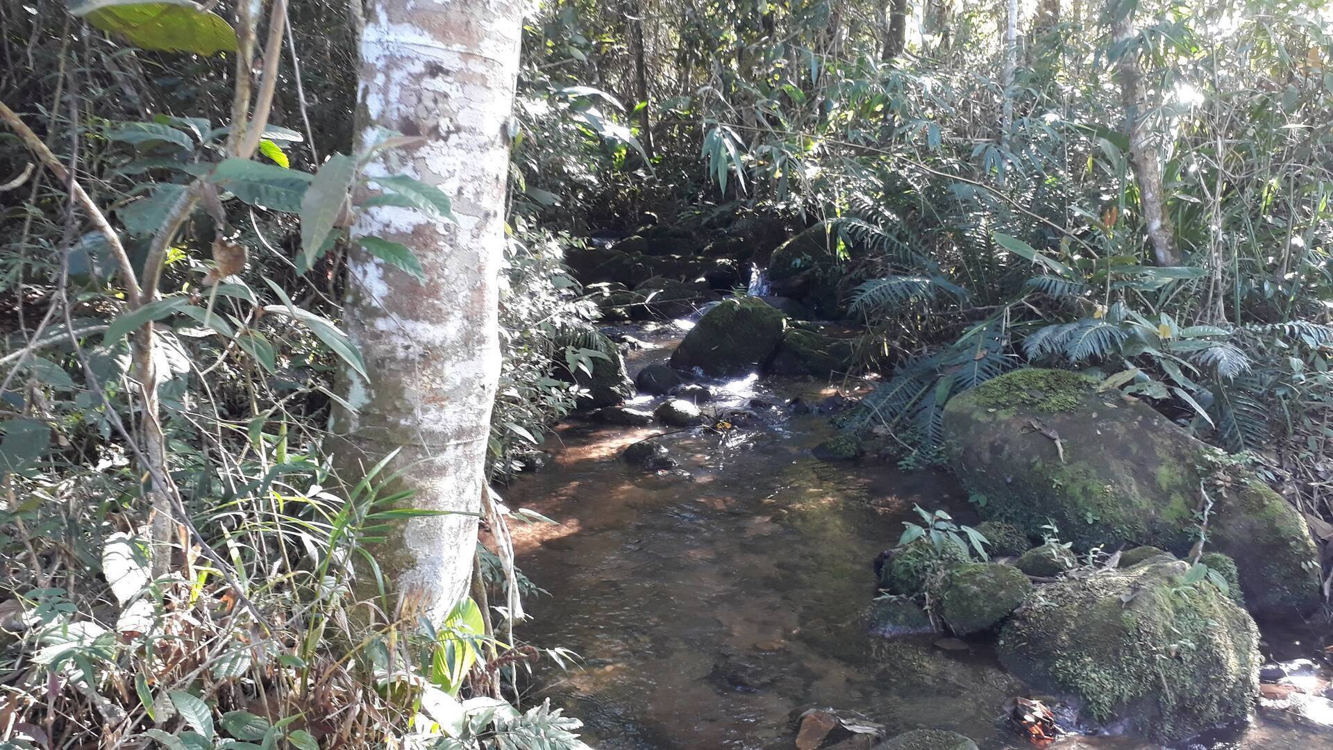 Terreno, 2 m² - Foto 21