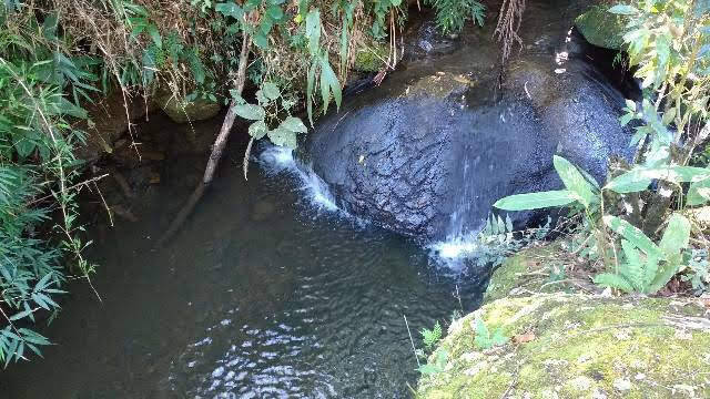 Terreno, 2 m² - Foto 22