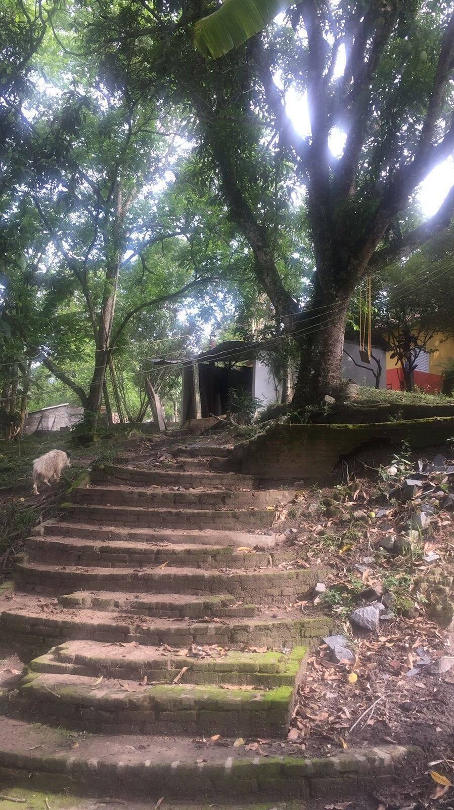 Chácara à venda com 3 quartos, 2m² - Foto 2