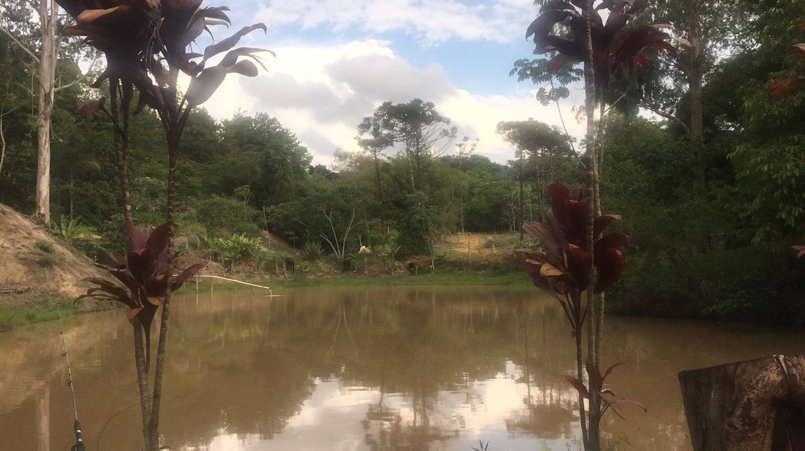 Chácara à venda com 3 quartos, 2m² - Foto 8