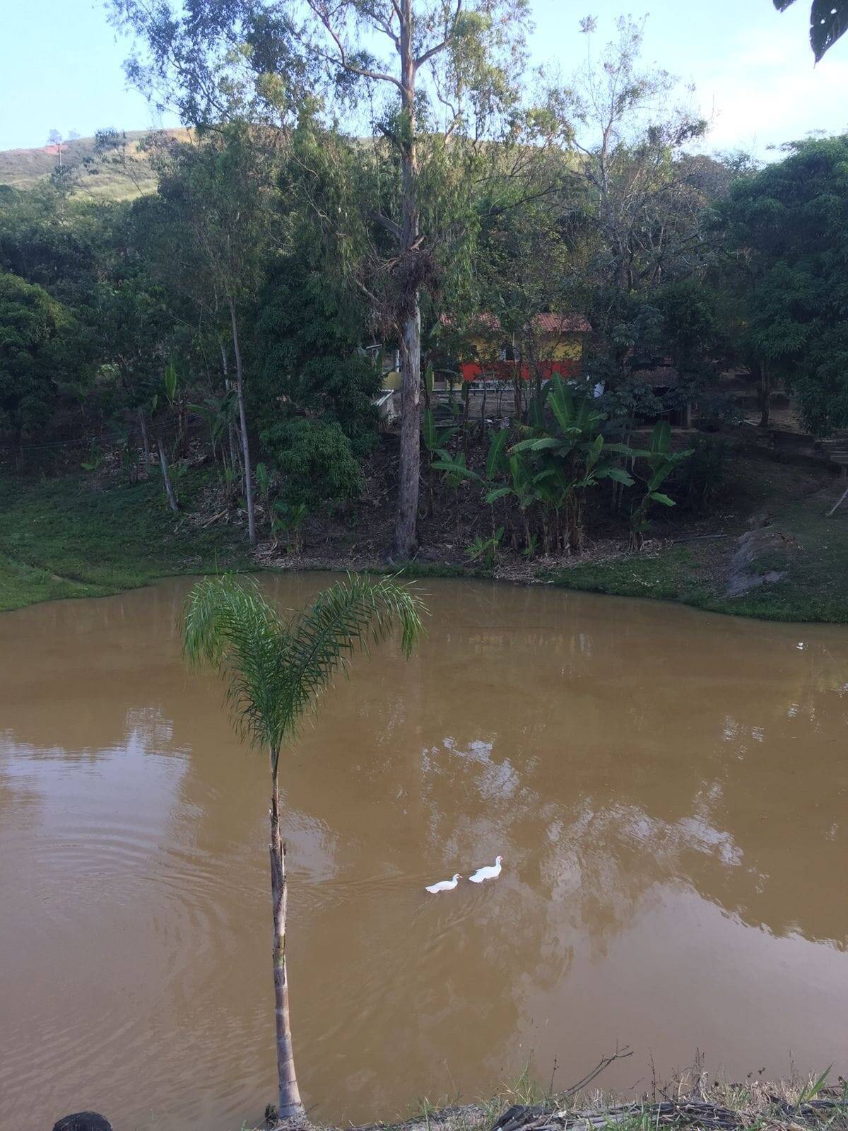 Chácara à venda com 3 quartos, 2m² - Foto 6