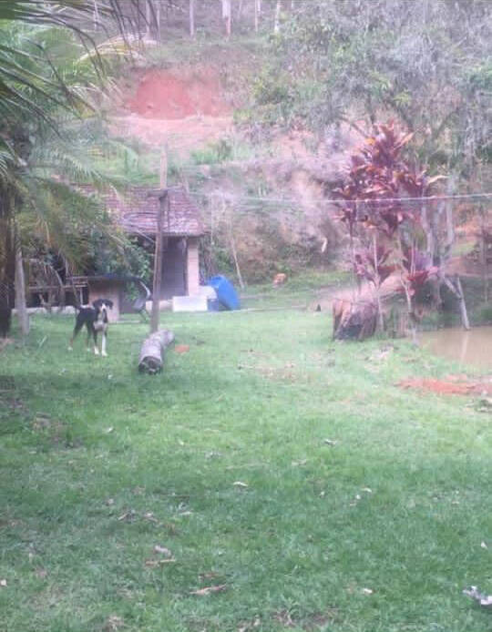Chácara à venda com 3 quartos, 2m² - Foto 23