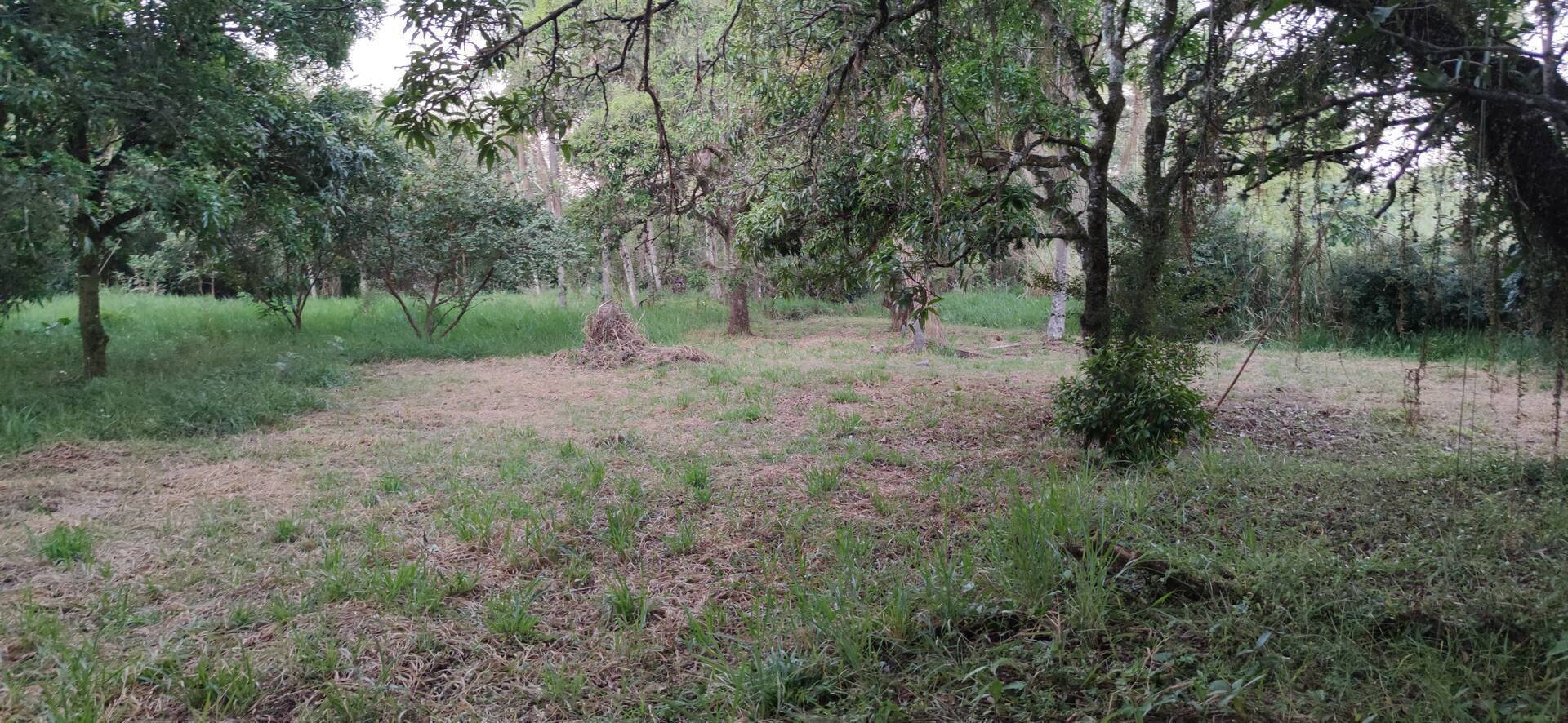 Terreno, 1012 m² - Foto 1