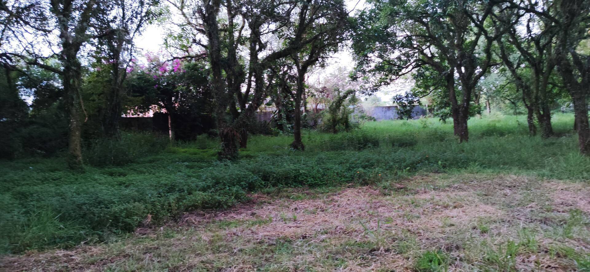 Terreno, 1012 m² - Foto 2