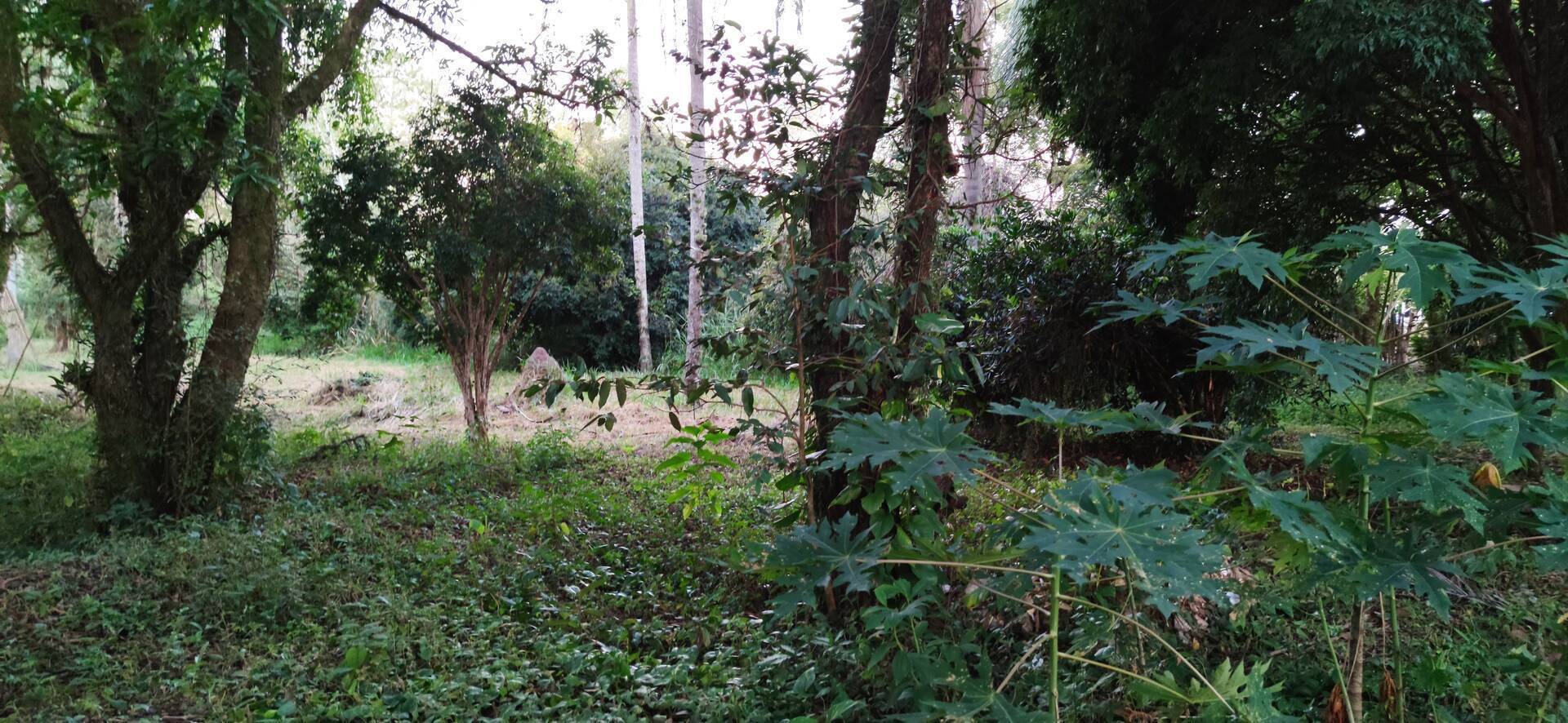 Terreno, 1012 m² - Foto 4