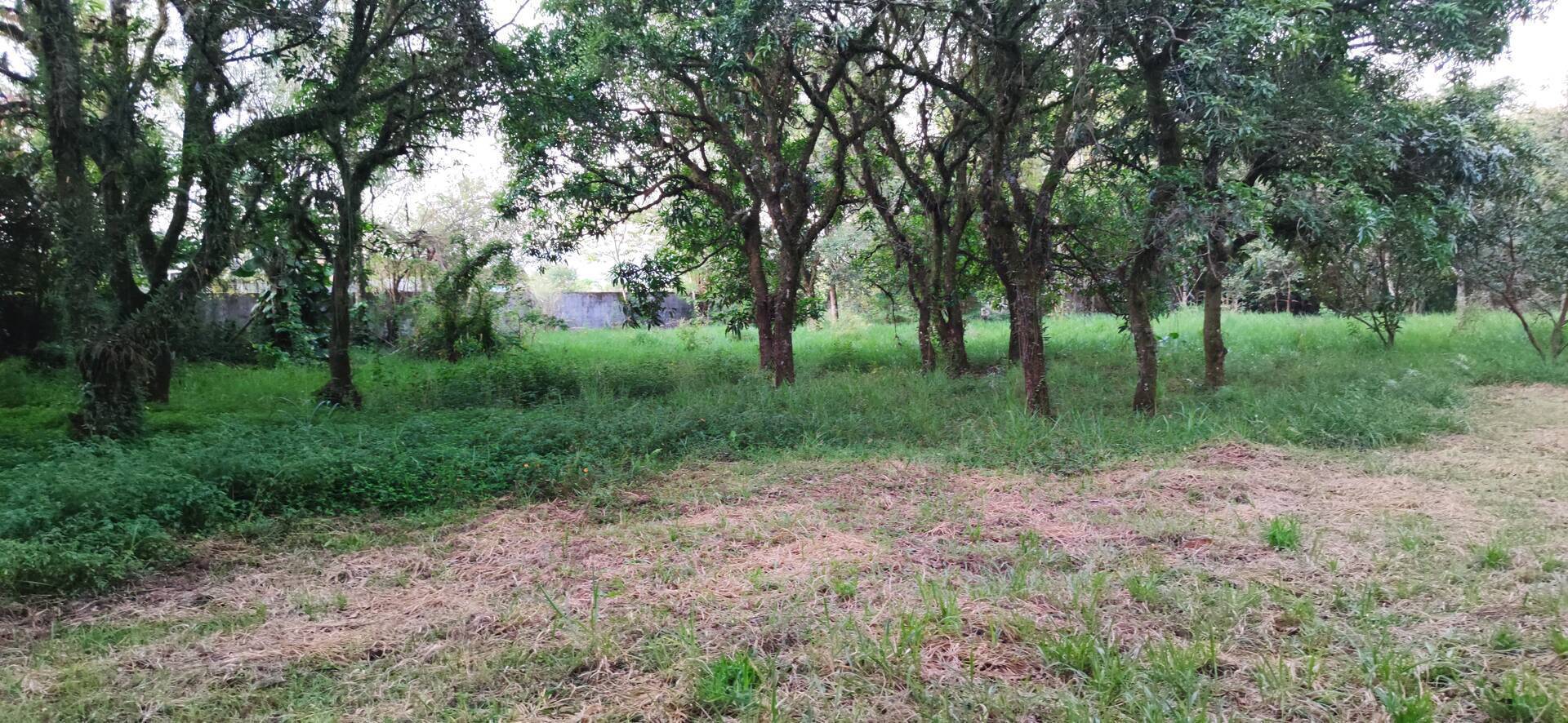 Terreno, 1012 m² - Foto 5