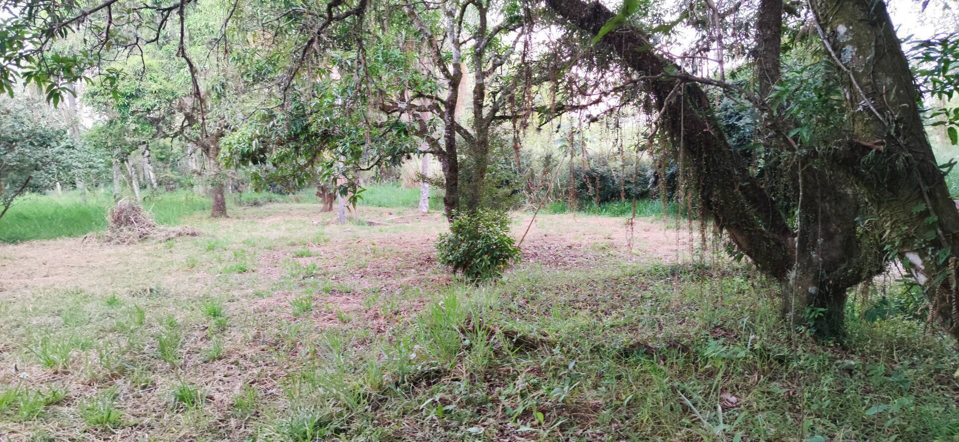 Terreno, 1012 m² - Foto 6