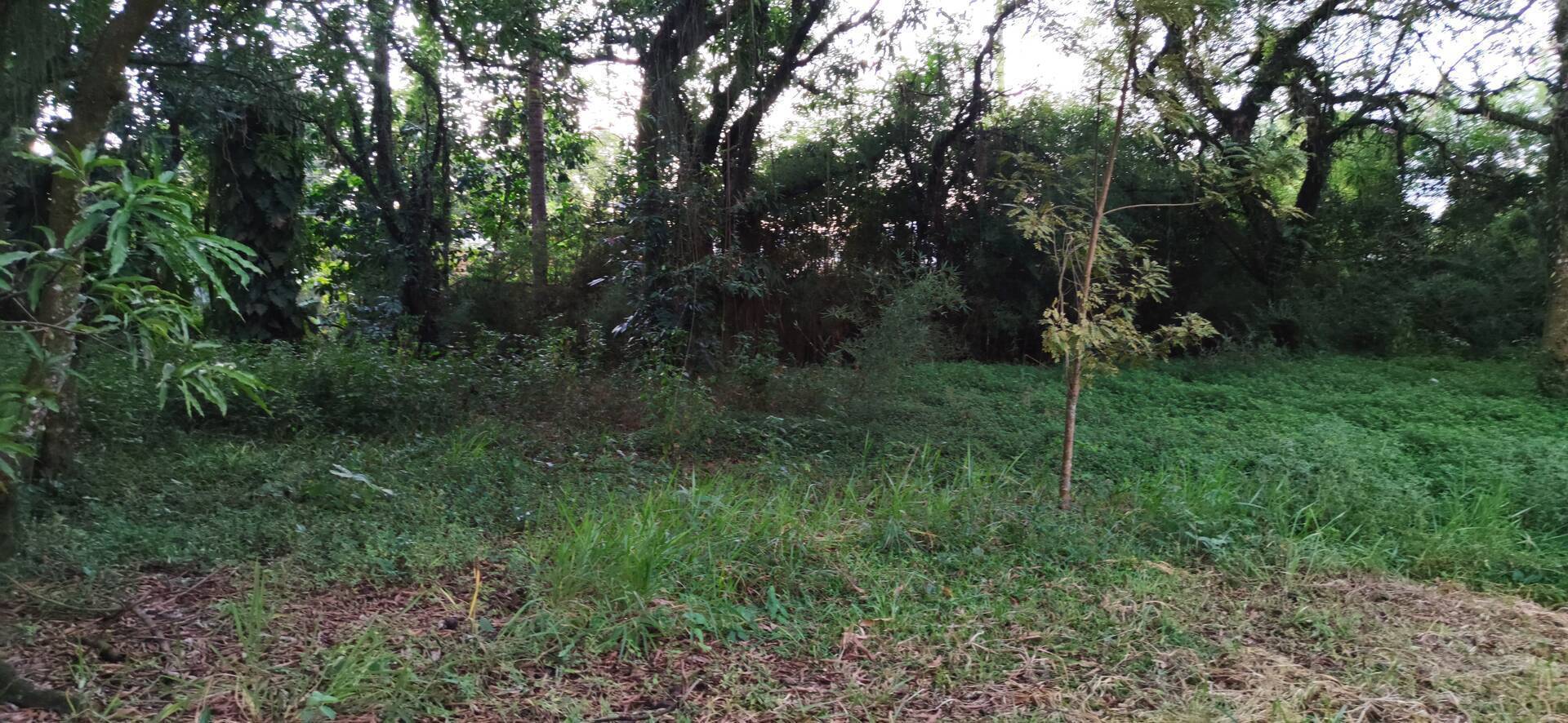 Terreno, 1012 m² - Foto 7