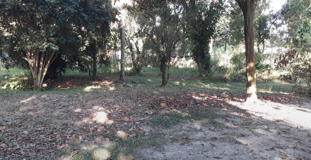 Terreno, 1012 m² - Foto 9