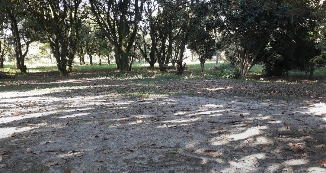 Terreno, 1012 m² - Foto 10