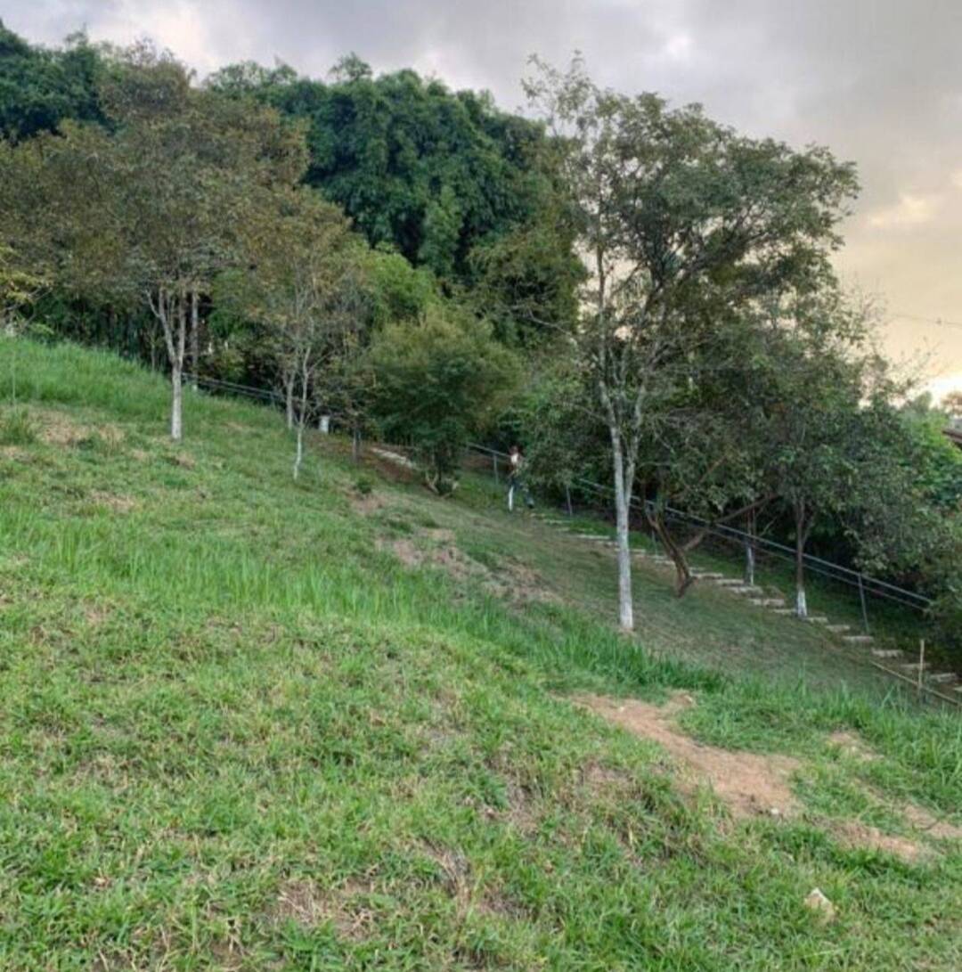 Terreno à venda, 800m² - Foto 2