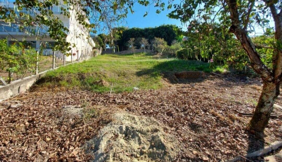 Terreno à venda, 800m² - Foto 9