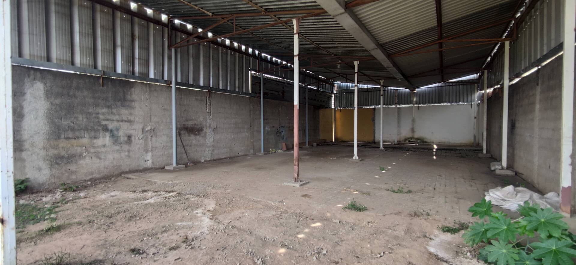 Depósito-Galpão - Foto 4