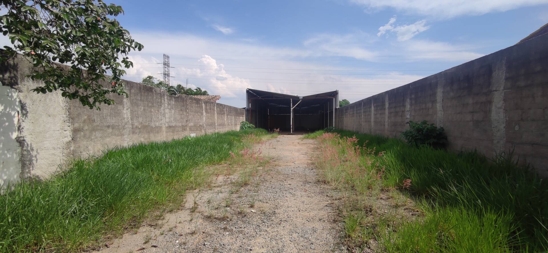 Depósito-Galpão - Foto 5