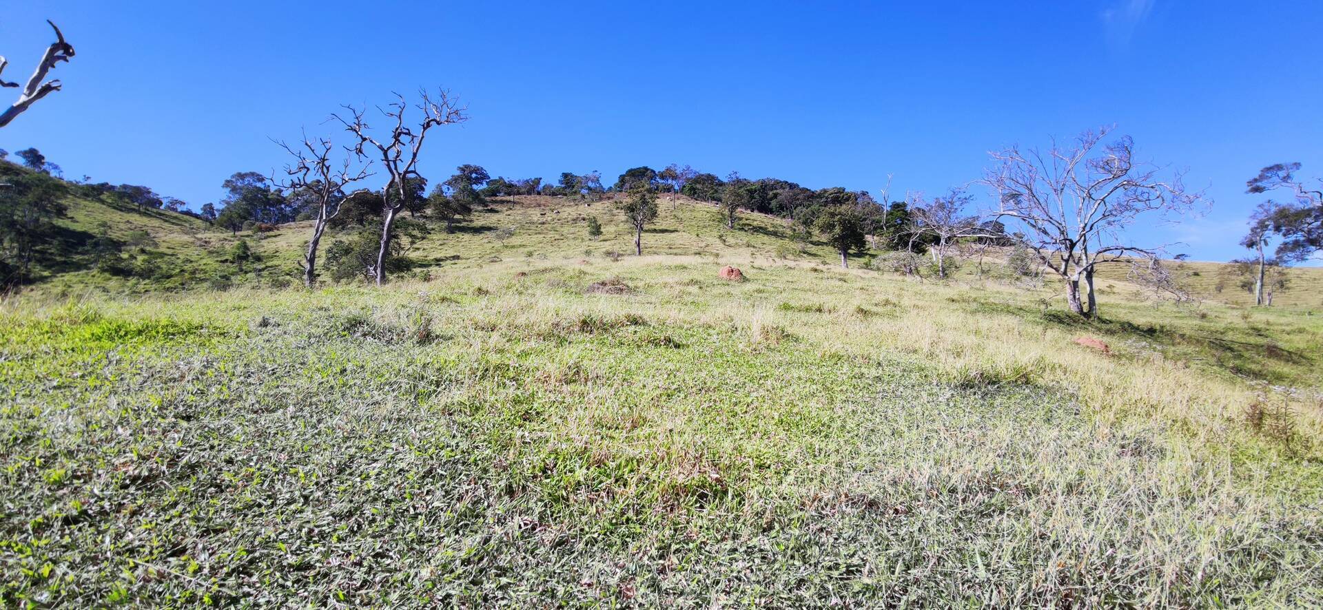 Terreno à venda, 27m² - Foto 12