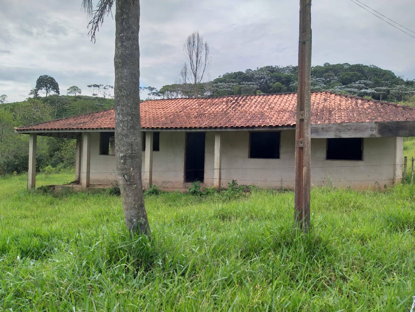 Sítio à venda com 5 quartos, 23m² - Foto 1