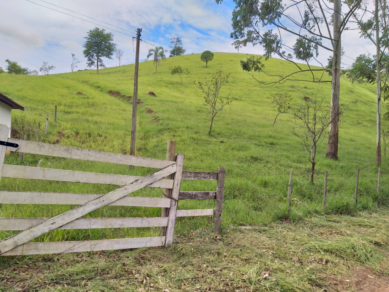 Sítio à venda com 5 quartos, 23m² - Foto 8