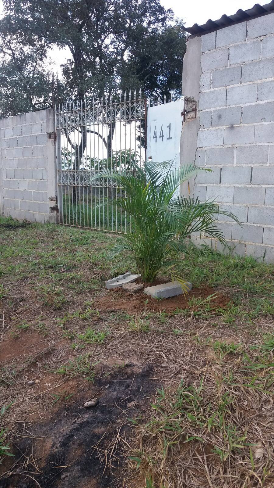 Terreno, 1100 m² - Foto 7