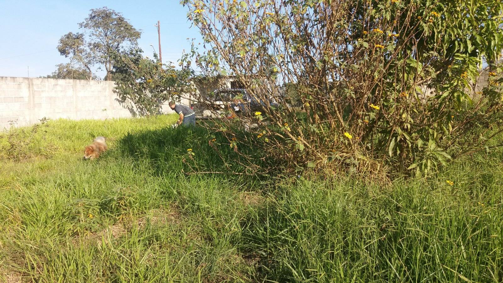 Terreno, 1100 m² - Foto 8