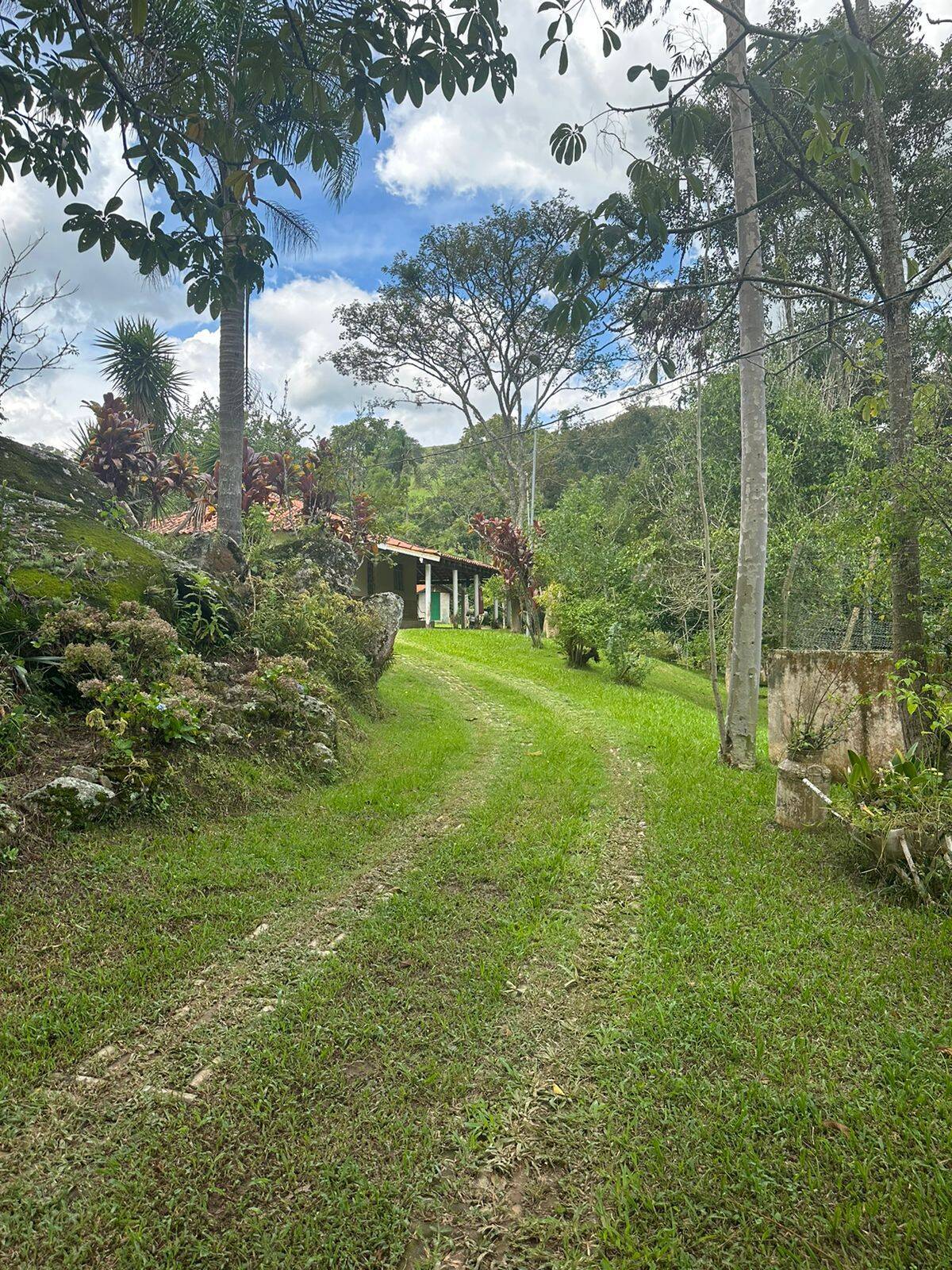 Sítio à venda com 3 quartos, 3800m² - Foto 3