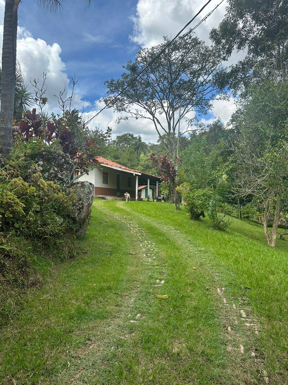 Sítio à venda com 3 quartos, 3800m² - Foto 5