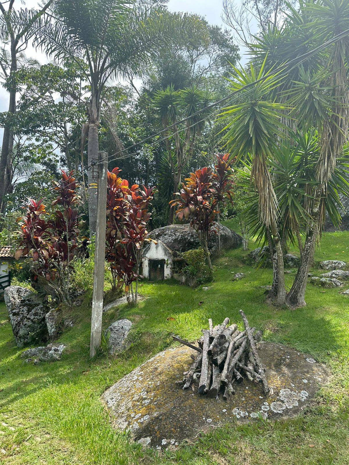 Sítio à venda com 3 quartos, 3800m² - Foto 7