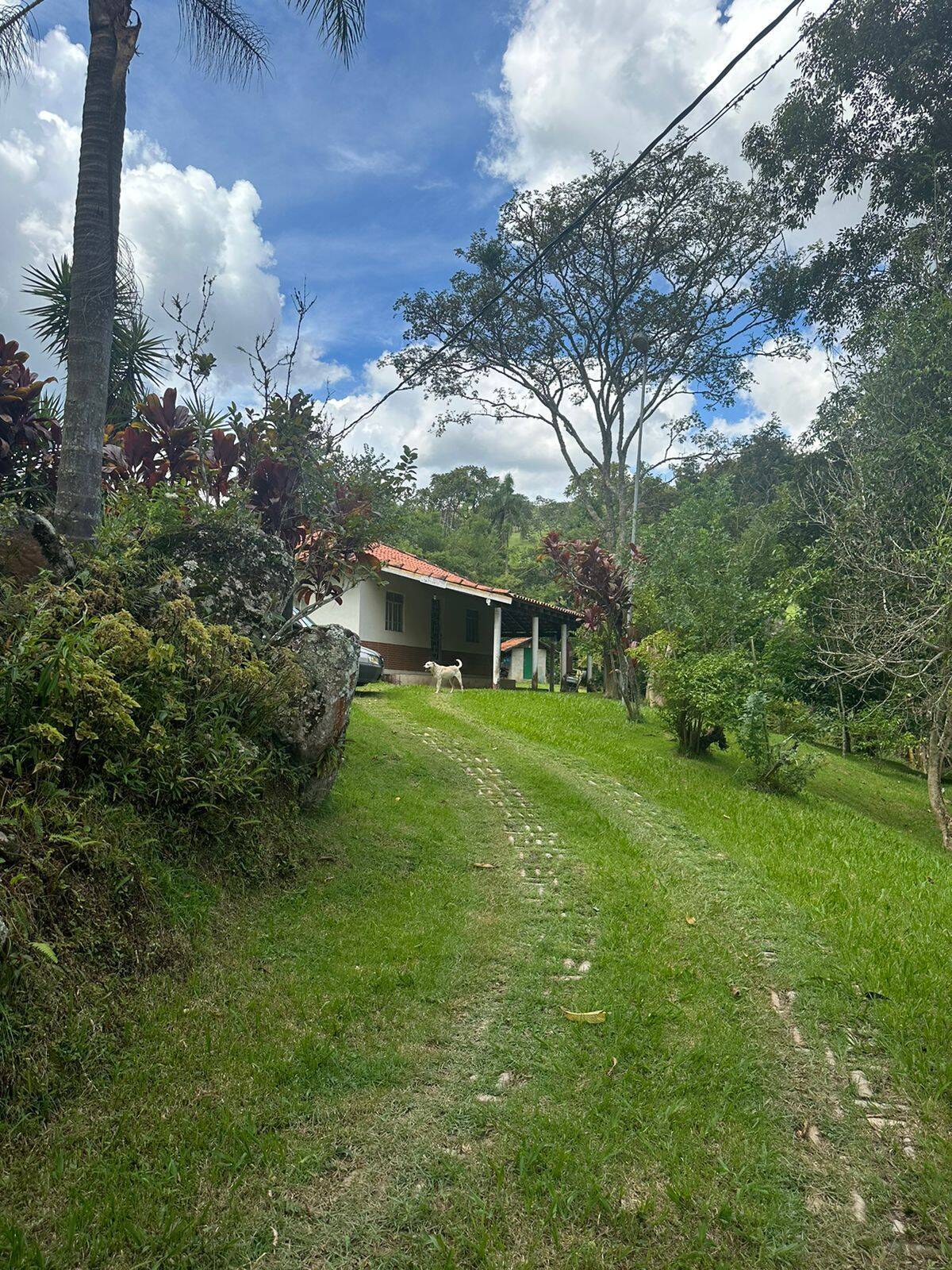 Sítio à venda com 3 quartos, 3800m² - Foto 24