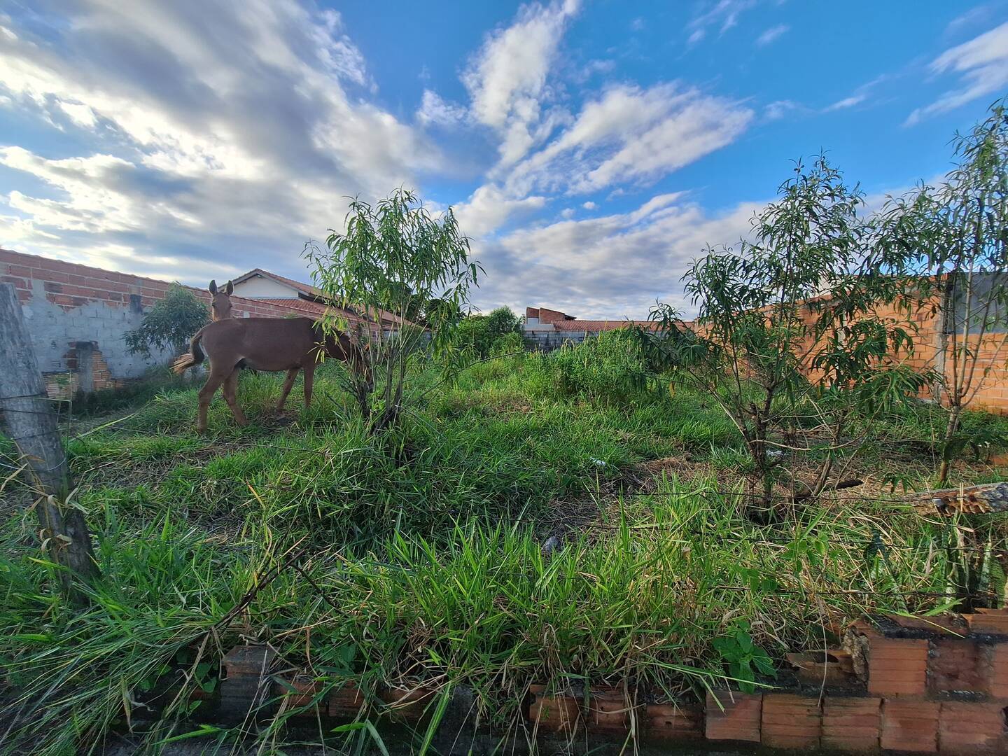 Terreno à venda, 500m² - Foto 2