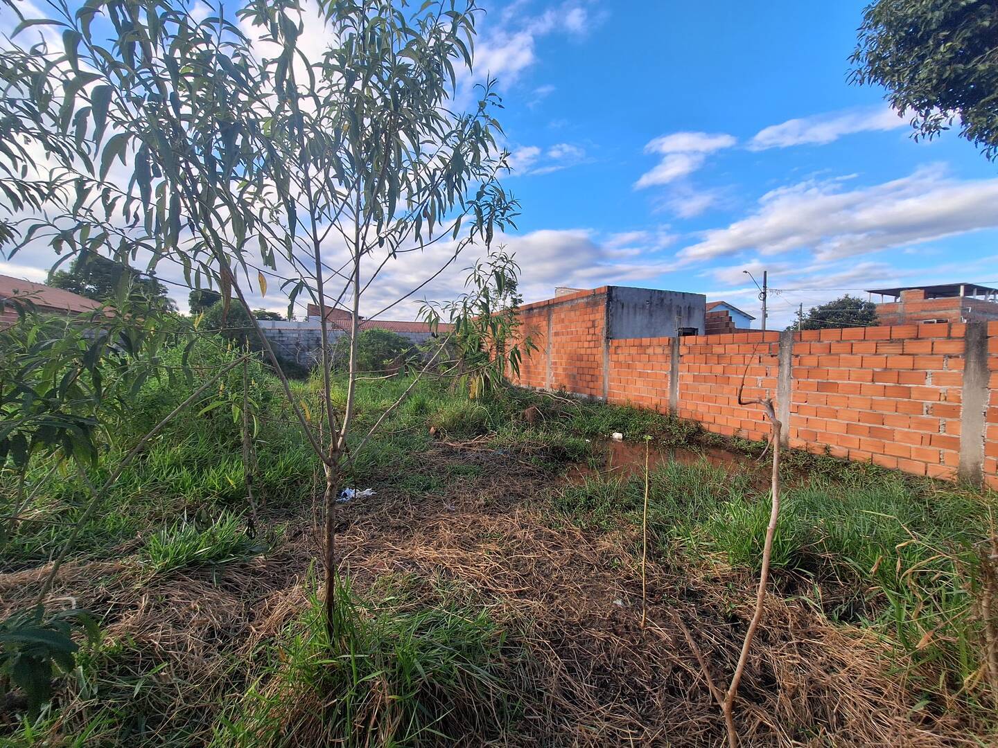 Terreno à venda, 500m² - Foto 4