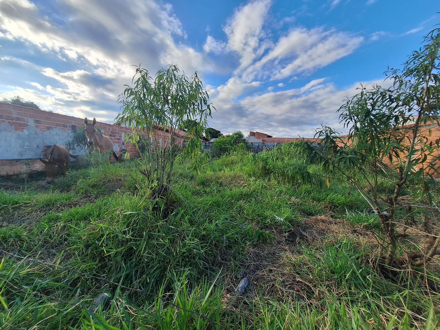 Terreno à venda, 500m² - Foto 5