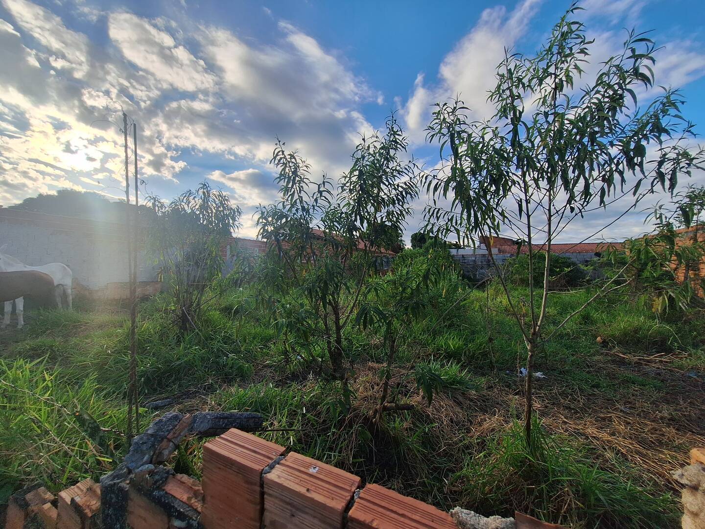 Terreno à venda, 500m² - Foto 9