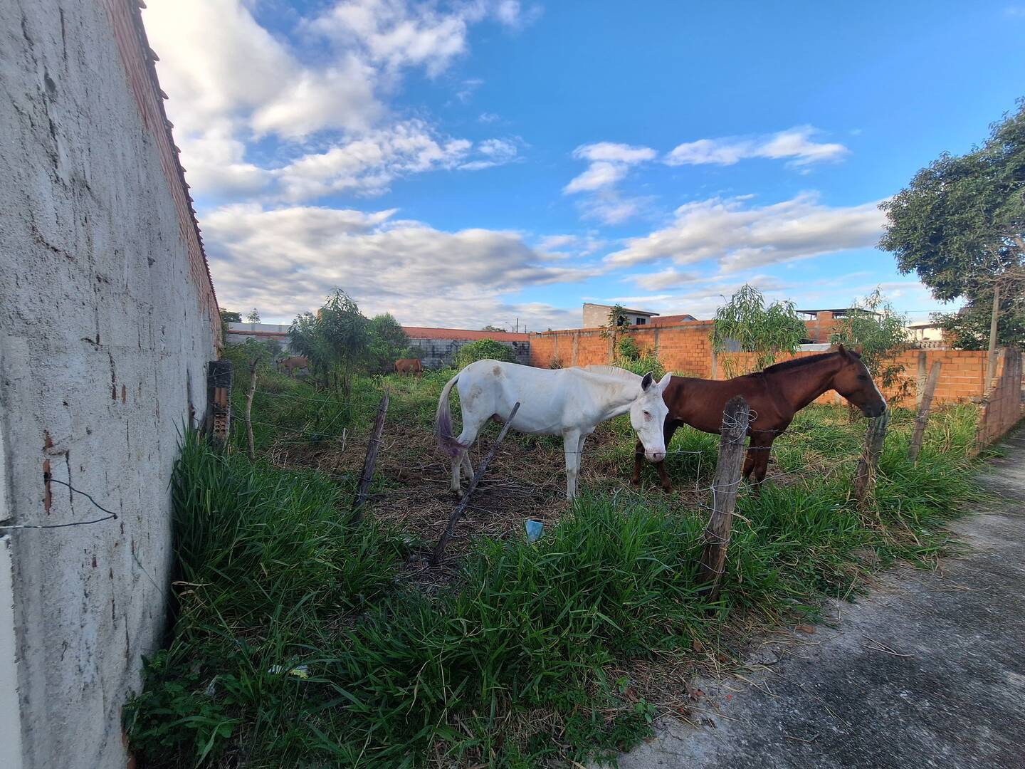 Terreno à venda, 500m² - Foto 11