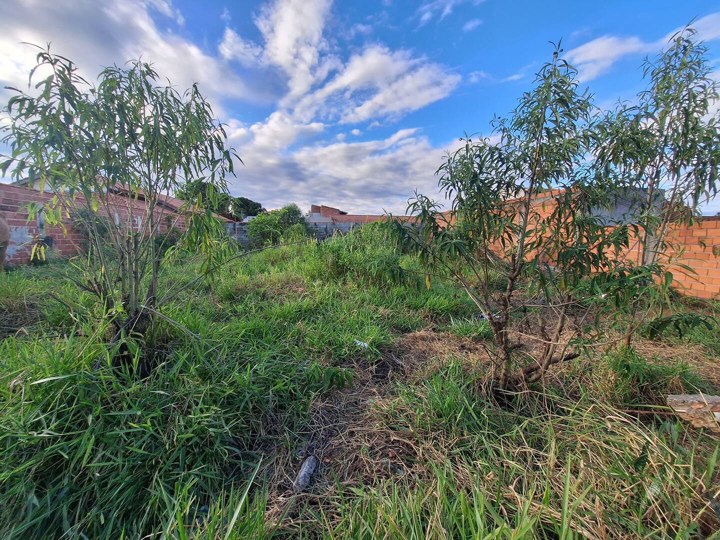 Terreno à venda, 500m² - Foto 13
