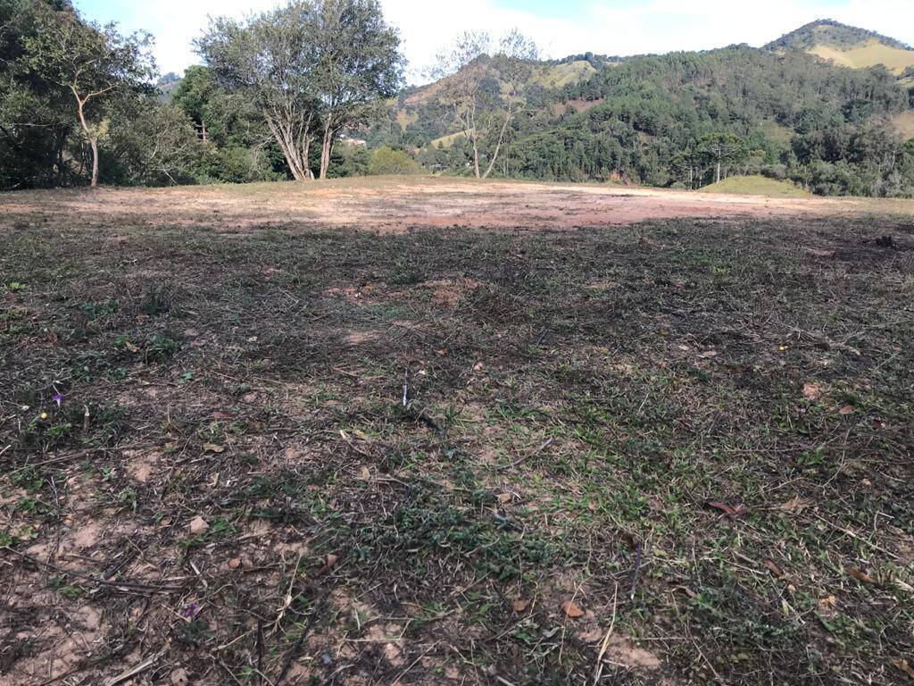Terreno à venda, 4623m² - Foto 2