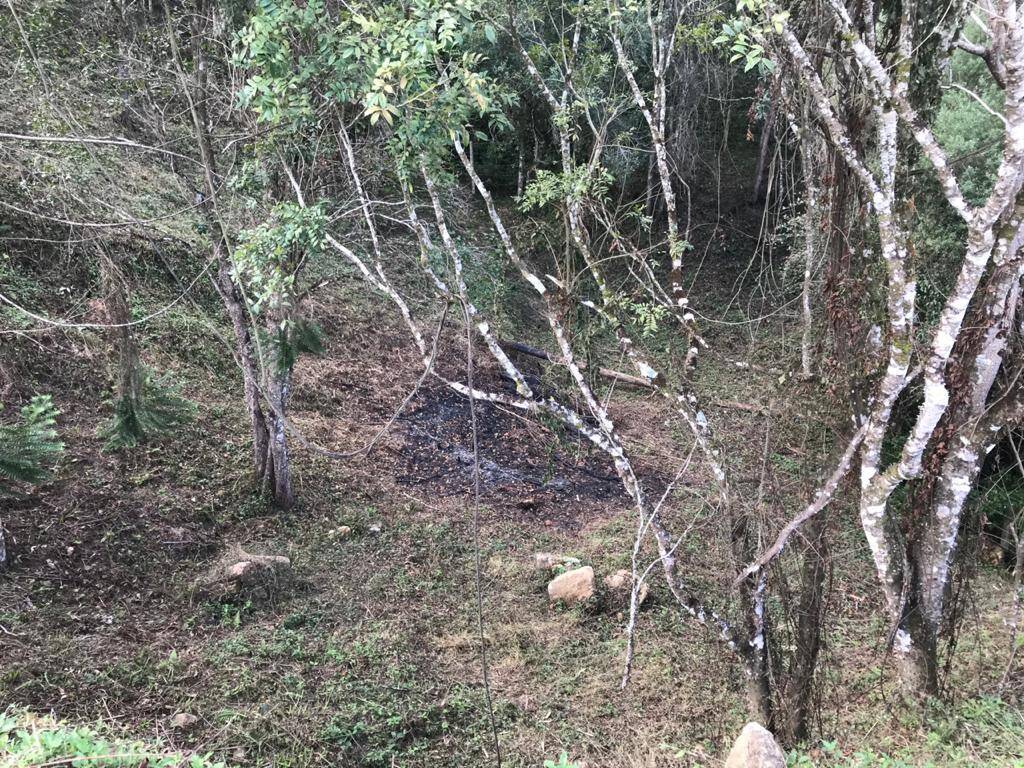 Terreno à venda, 4623m² - Foto 3