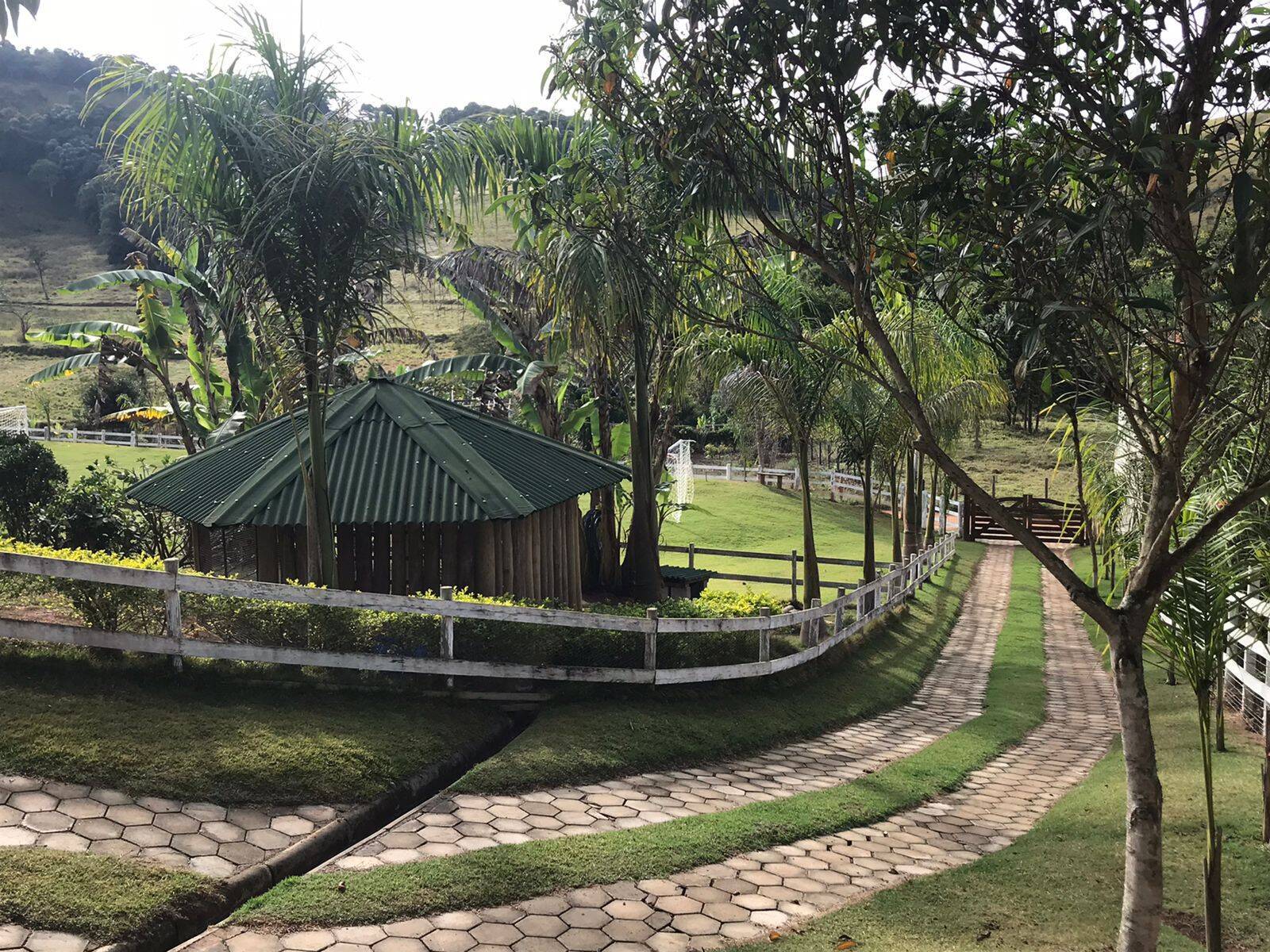 Sítio à venda com 2 quartos, 4000m² - Foto 6